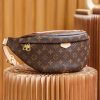 LV Ladies Bags M43644